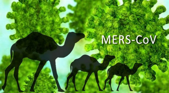 mers-cov