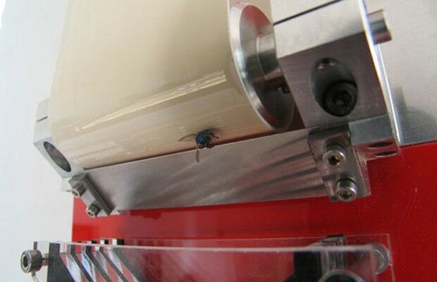 Robofly Catcher