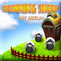 Running Sheep