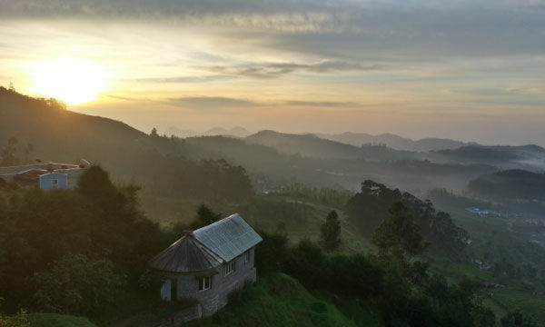 Foto Smartphone Terbaik 7