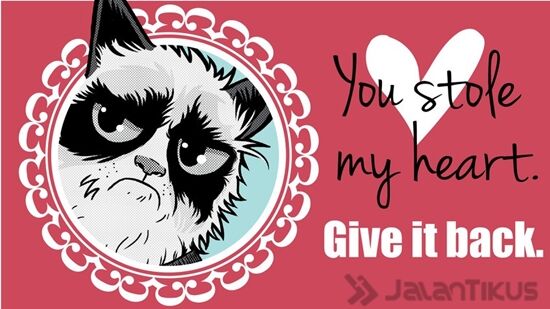 18 Kata Kata Lucu Yang Bisa Digunakan Untuk Menolak Hari Valentine 2