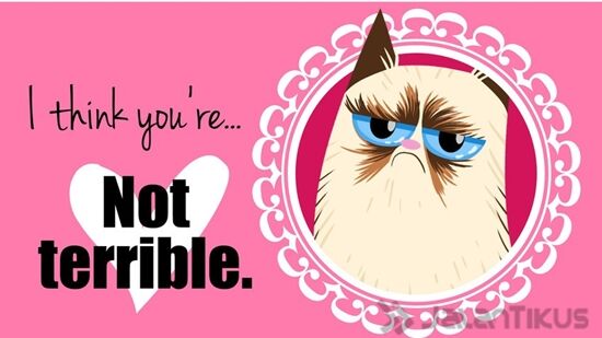 18 Kata Kata Lucu Yang Bisa Digunakan Untuk Menolak Hari Valentine 3