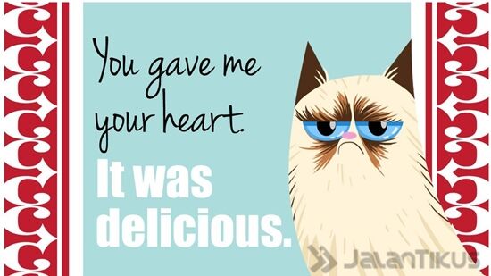 18 Kata Kata Lucu Yang Bisa Digunakan Untuk Menolak Hari Valentine 4