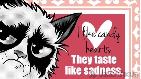 18 Kata Kata Lucu Yang Bisa Digunakan Untuk Menolak Hari Valentine 7