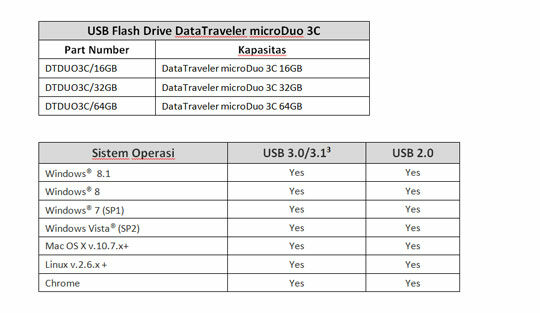 USB flashdrive data traveler 