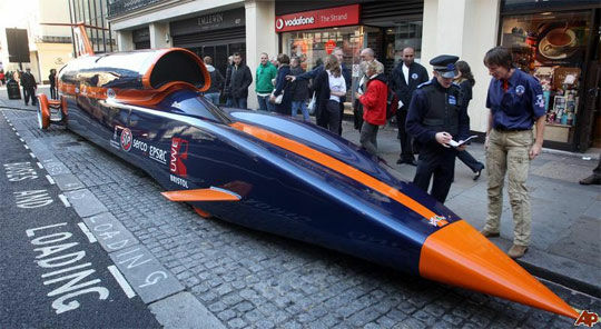 british bloodhound