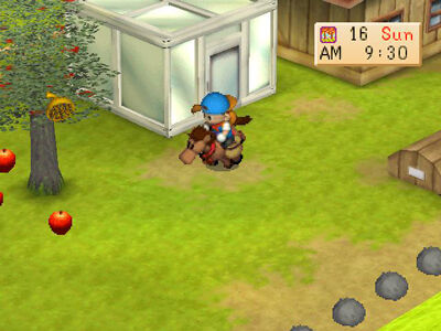 Harvest Moon Seeds Of Memories Pc Android Ios