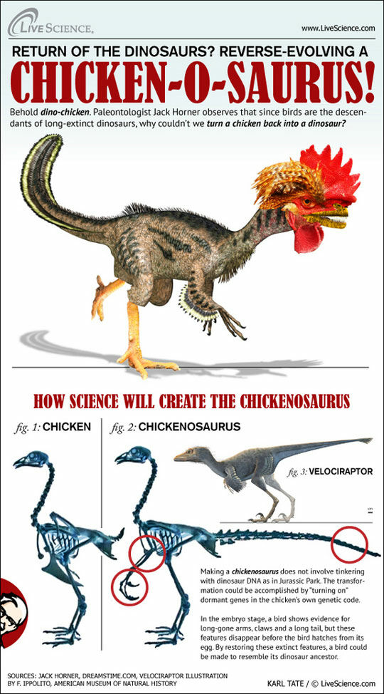 Chicken O Saurus