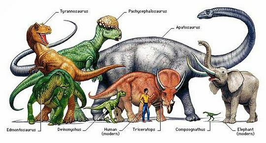 Dinosaur