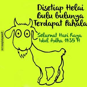 Dp Bbm Hewan Qurban Bergerak - Musik Top Markotob