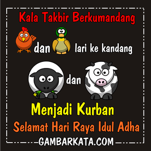 Kumpulan Gambar DP BBM Lucu Idul Adha 1436 H tahun 2015 
