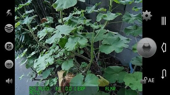 Mi2raw 01