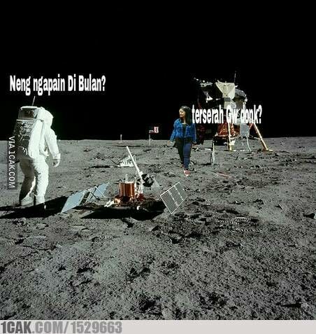 Meme Suka Suka Gue Dong Perusak Taman Bunga Amarillys 10