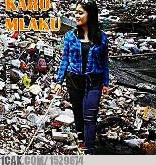 Meme Suka Suka Gue Dong Perusak Taman Bunga Amarillys 11