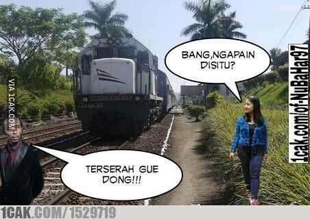 Meme Suka Suka Gue Dong Perusak Taman Bunga Amarillys 12
