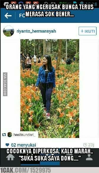 Meme Suka Suka Gue Dong Perusak Taman Bunga Amarillys 13