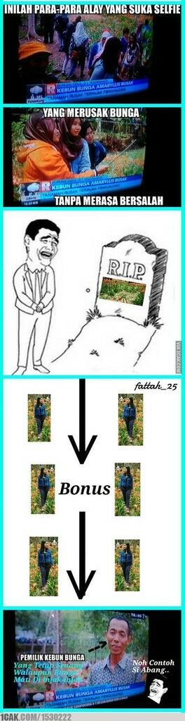 Meme Suka Suka Gue Dong Perusak Taman Bunga Amarillys 17