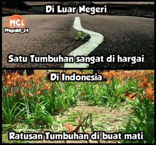 Meme Suka Suka Gue Dong Perusak Taman Bunga Amarillys 25