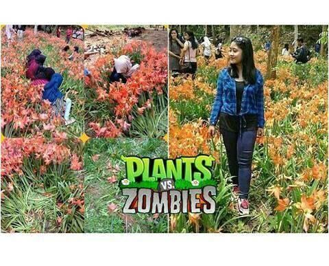 Meme Suka Suka Gue Dong Perusak Taman Bunga Amarillys 27