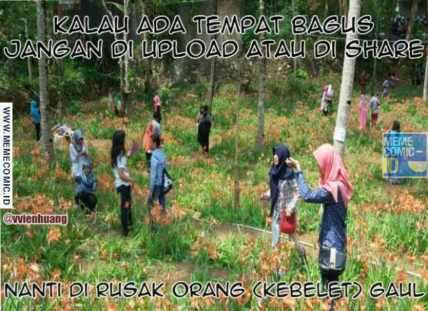 Meme Suka Suka Gue Dong Perusak Taman Bunga Amarillys 29