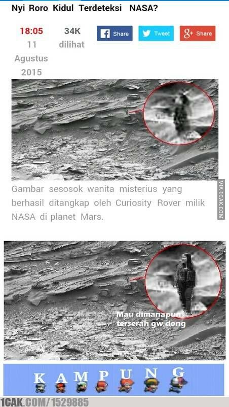 Meme Suka Suka Gue Dong Perusak Taman Bunga Amarillys 4