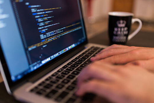 Web Programmer