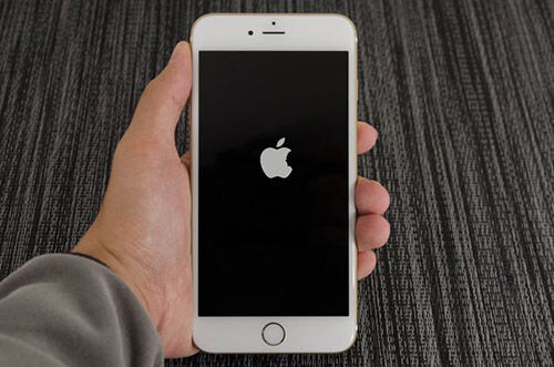 bug-fatal-iphone-2