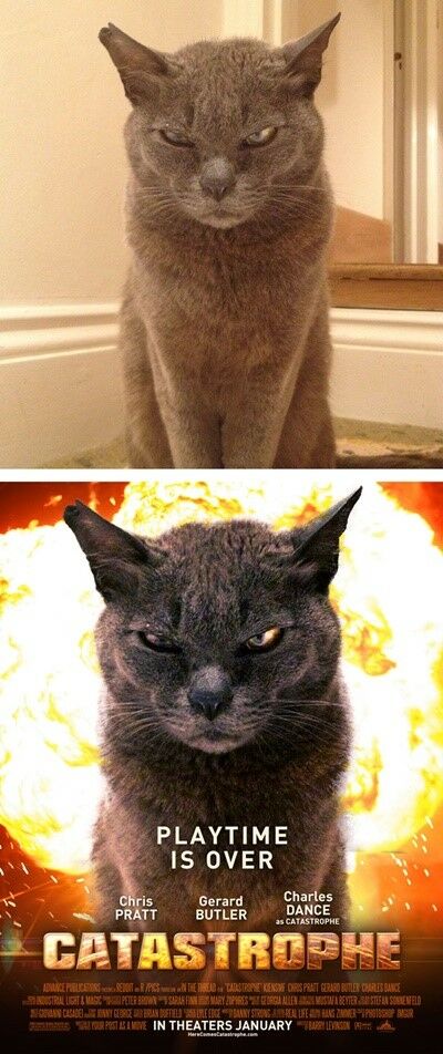 photos-into-movies-8