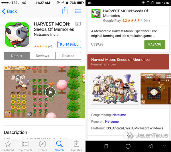 harvest moon seeds of memories 10