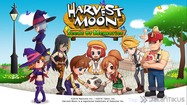 harvest moon seeds of memories 9