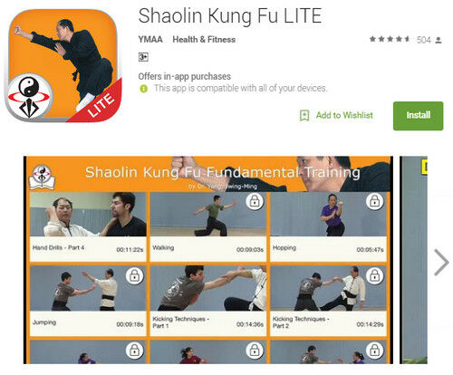 Shaolin Kung Fu LITE
