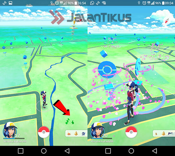 Lure And Rustle