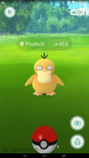 Perbedaan Poke Ball Great Ball Ultra Ball 1