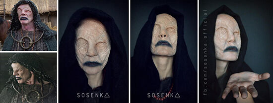 Seer Vikings