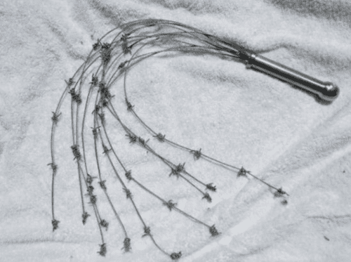 Cat O’ Nine Tails