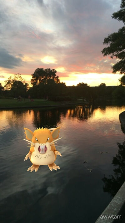 Lokasi Menakjubkan Pokemon 8