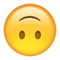 Arti Emoji 13
