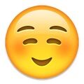 Arti Emoji 14