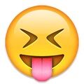 Arti Emoji 23