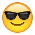 Arti Emoji 27