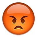 Arti Emoji 40