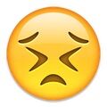 Arti Emoji 45