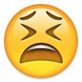 Arti Emoji 47