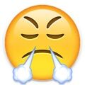 Arti Emoji 49