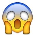 Arti Emoji 51