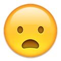 Arti Emoji 55