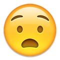 Arti Emoji 56