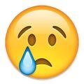 Arti Emoji 57
