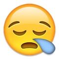 Arti Emoji 59