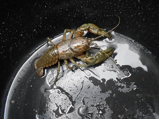 Foto Fantastis Keren 2
